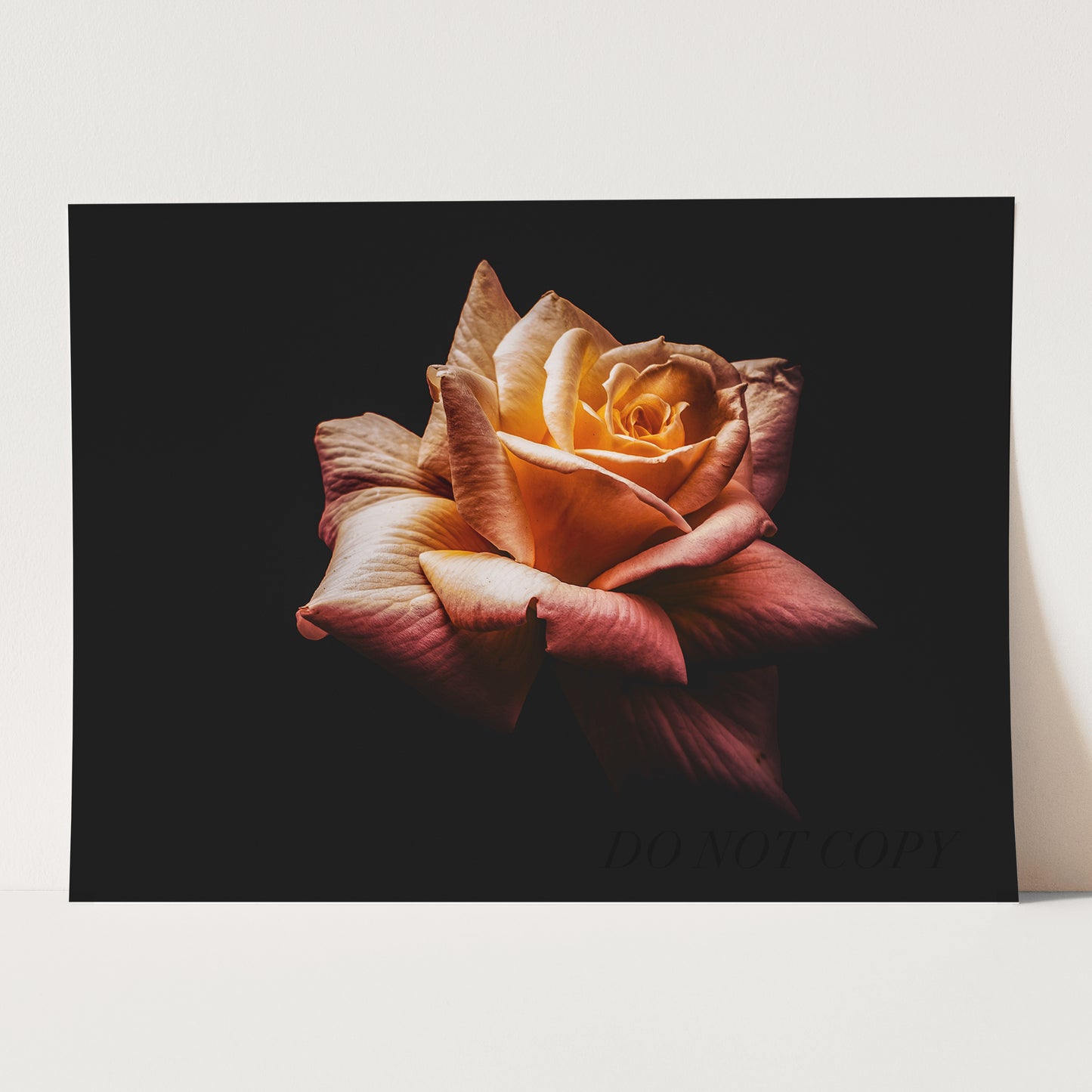 The Rose