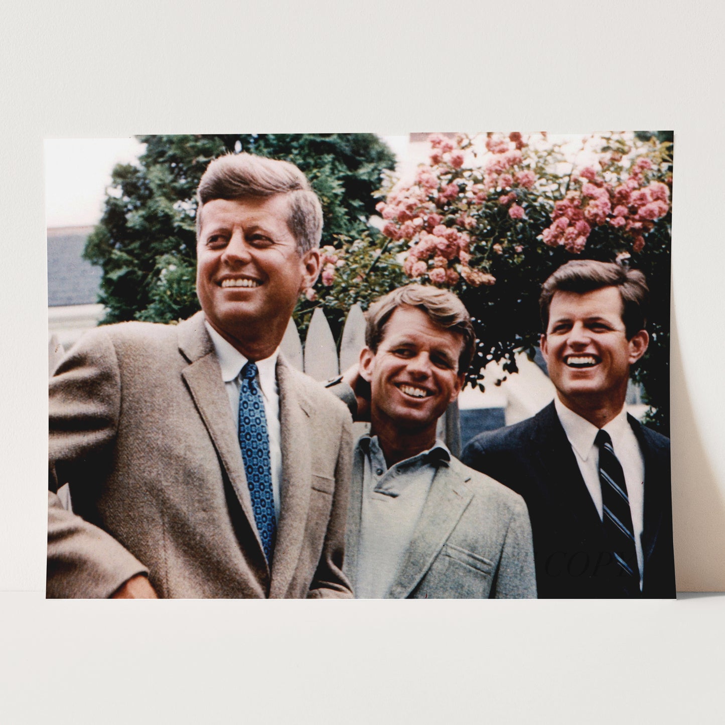 The Kennedy Brothers in 1960