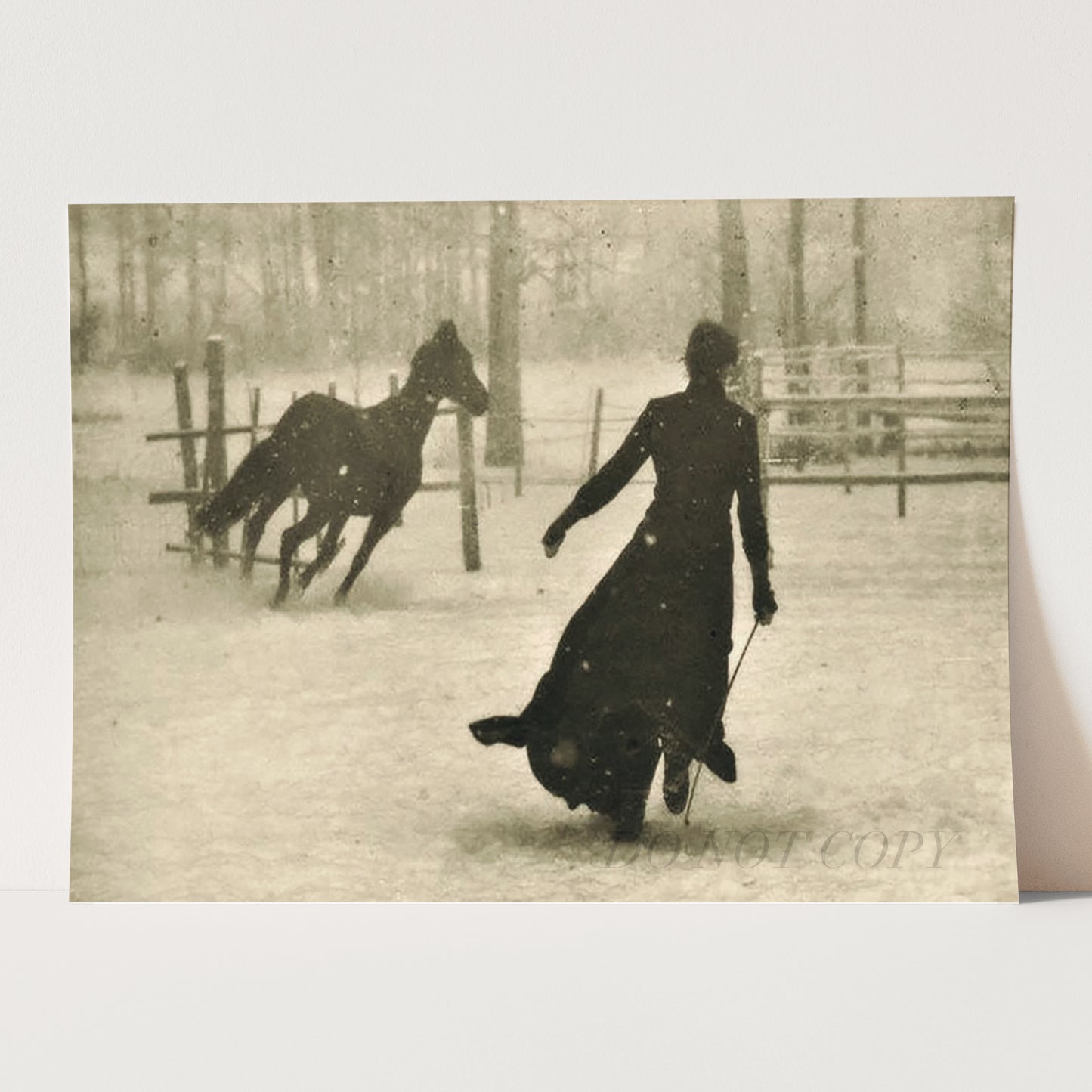 The Horse Trainer