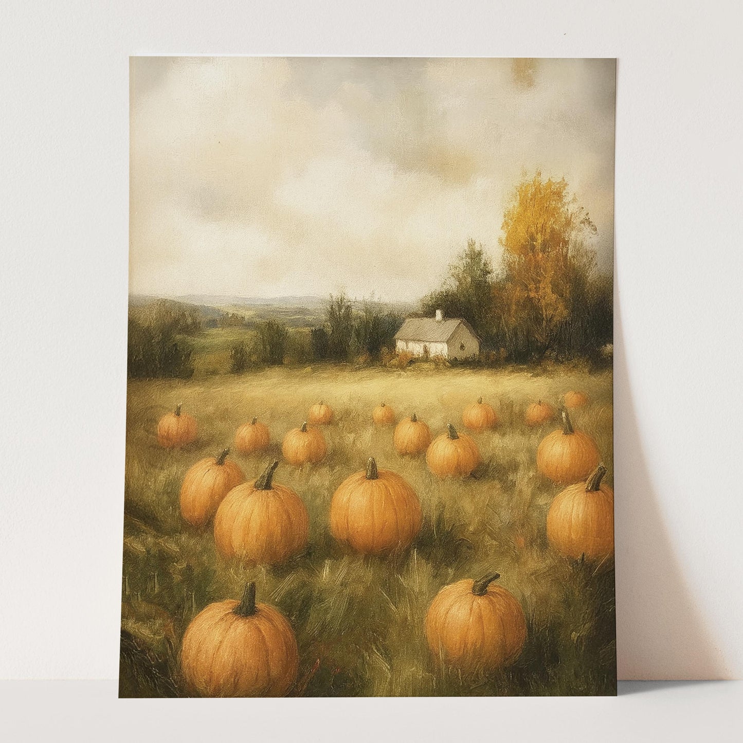 Pumpkin Field Landscape