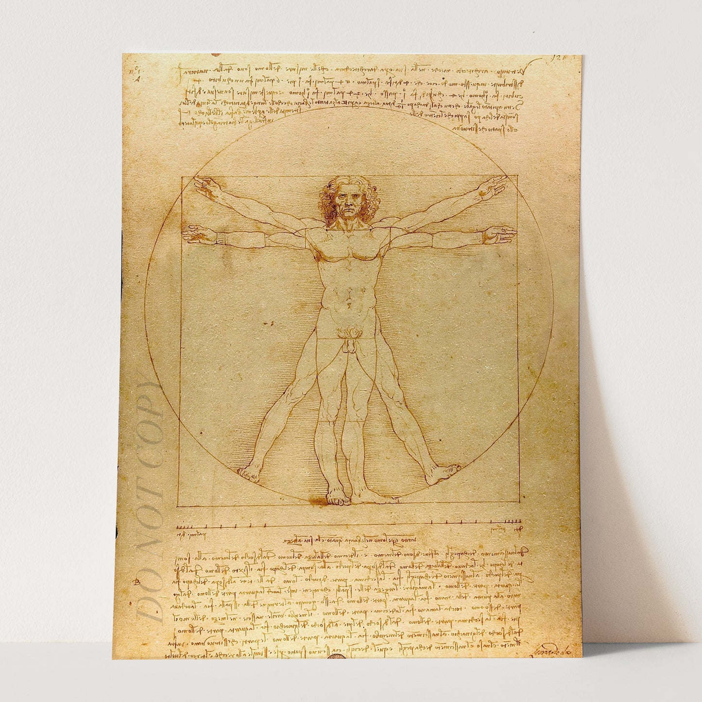 Vitruvian Man Drawing by Leonardo da Vinci