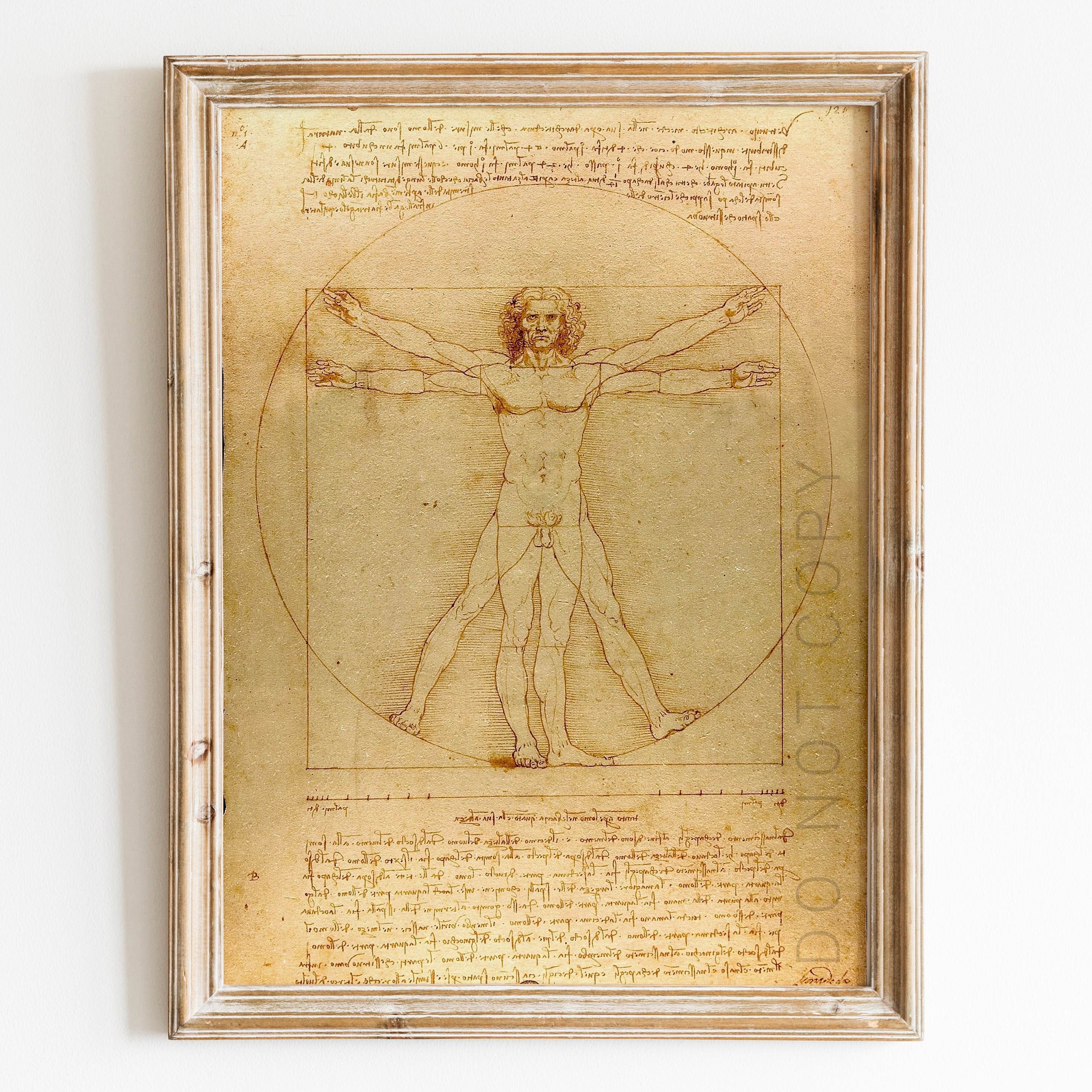 Vitruvian Man Drawing By Leonardo Da Vinci Wall Art Prints Prints Limited vitruvian-man-drawing-by-leonardo-da-vinci-wall-art-prints-prints-limited