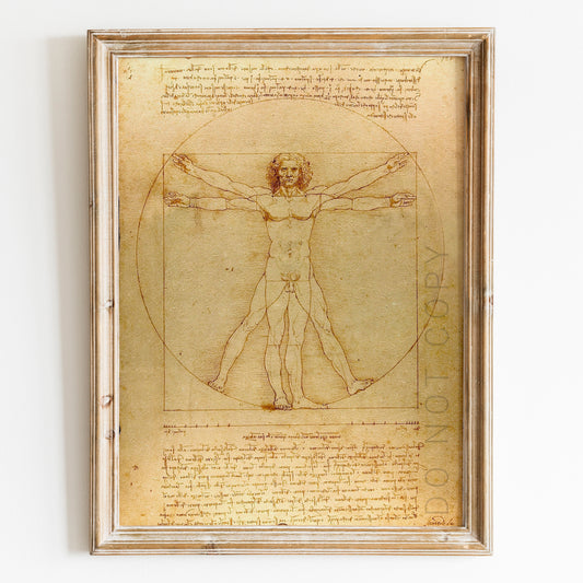 Vitruvian Man Drawing by Leonardo da Vinci
