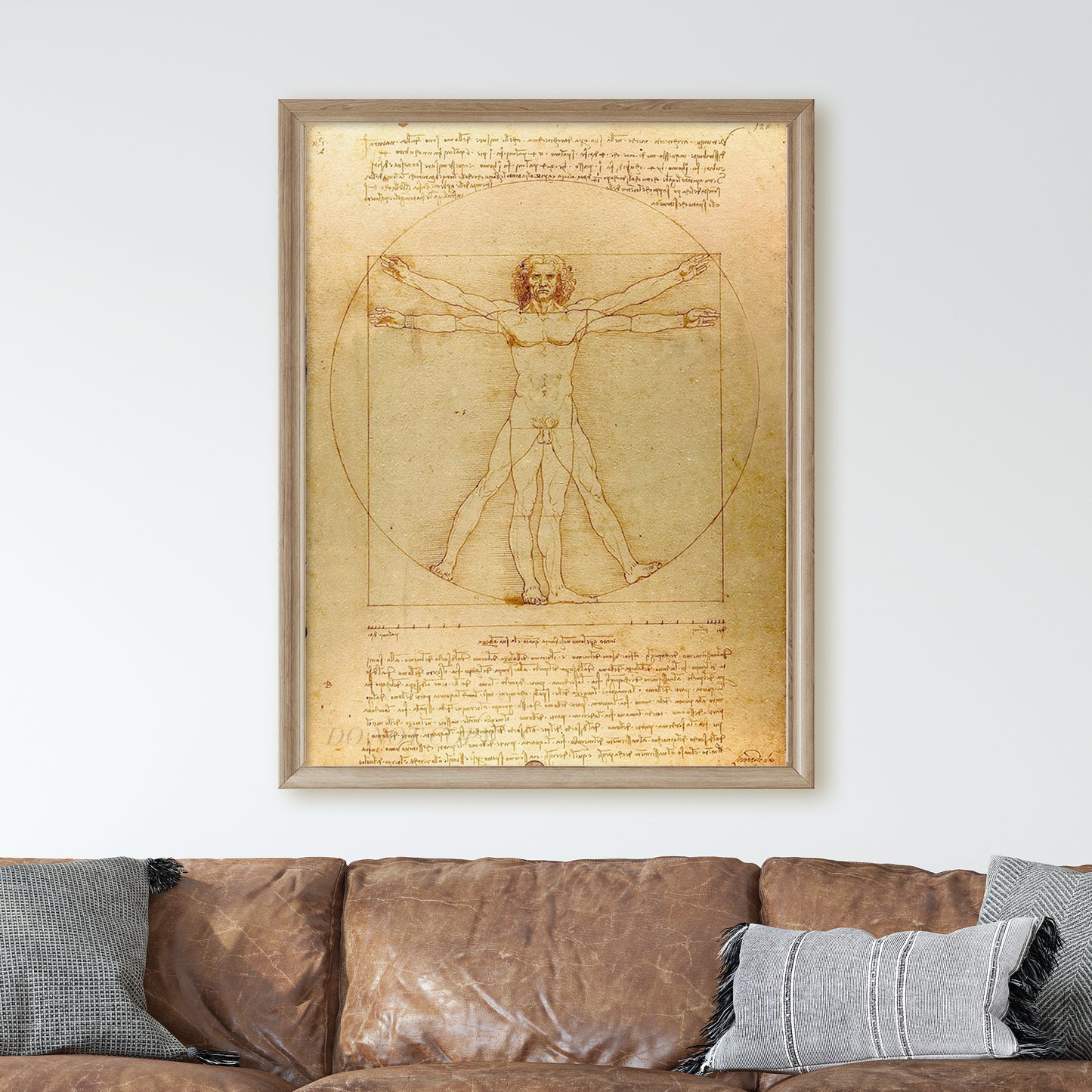 Vitruvian Man Drawing by Leonardo da Vinci
