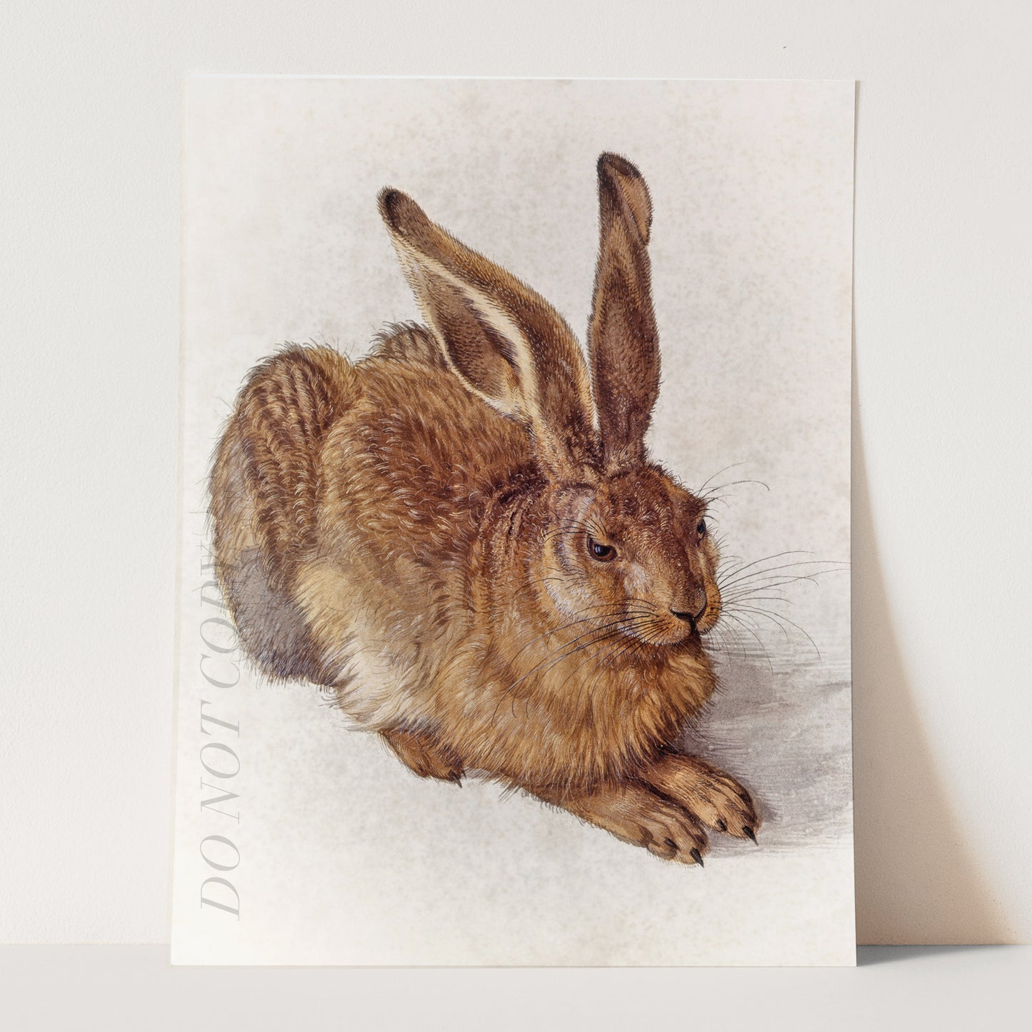 Young Hare by Albrecht Durer