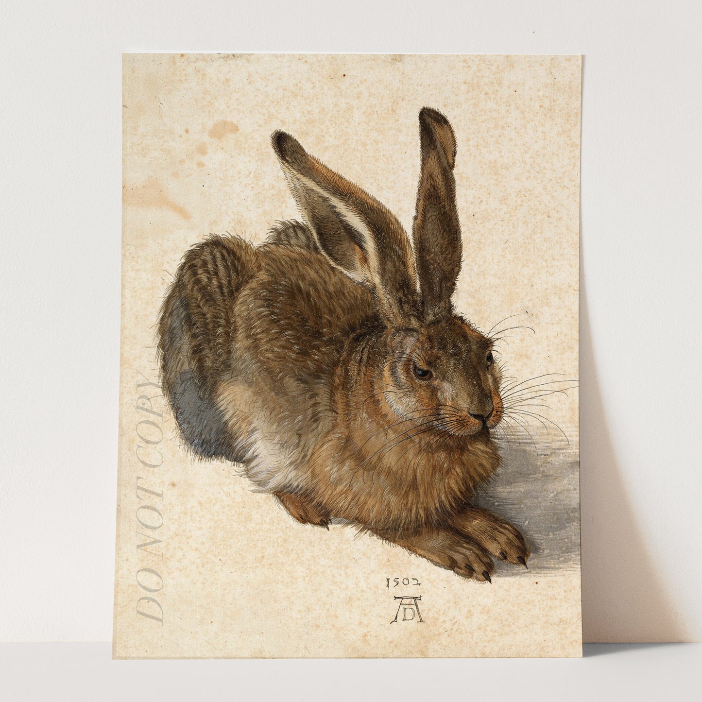 Young Hare, by Albrecht Durer