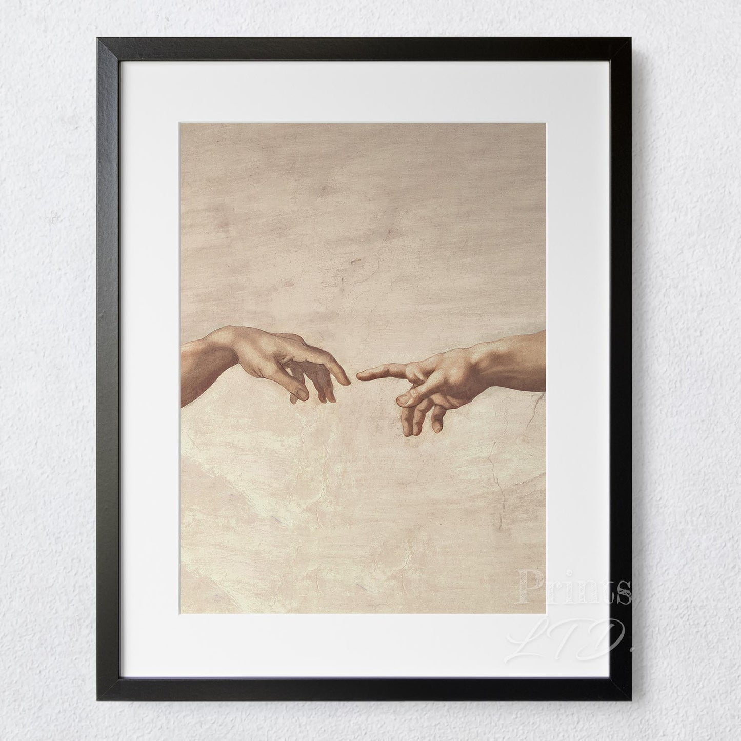 Hands of God and Adam, Michelangelo's Creation of Adam