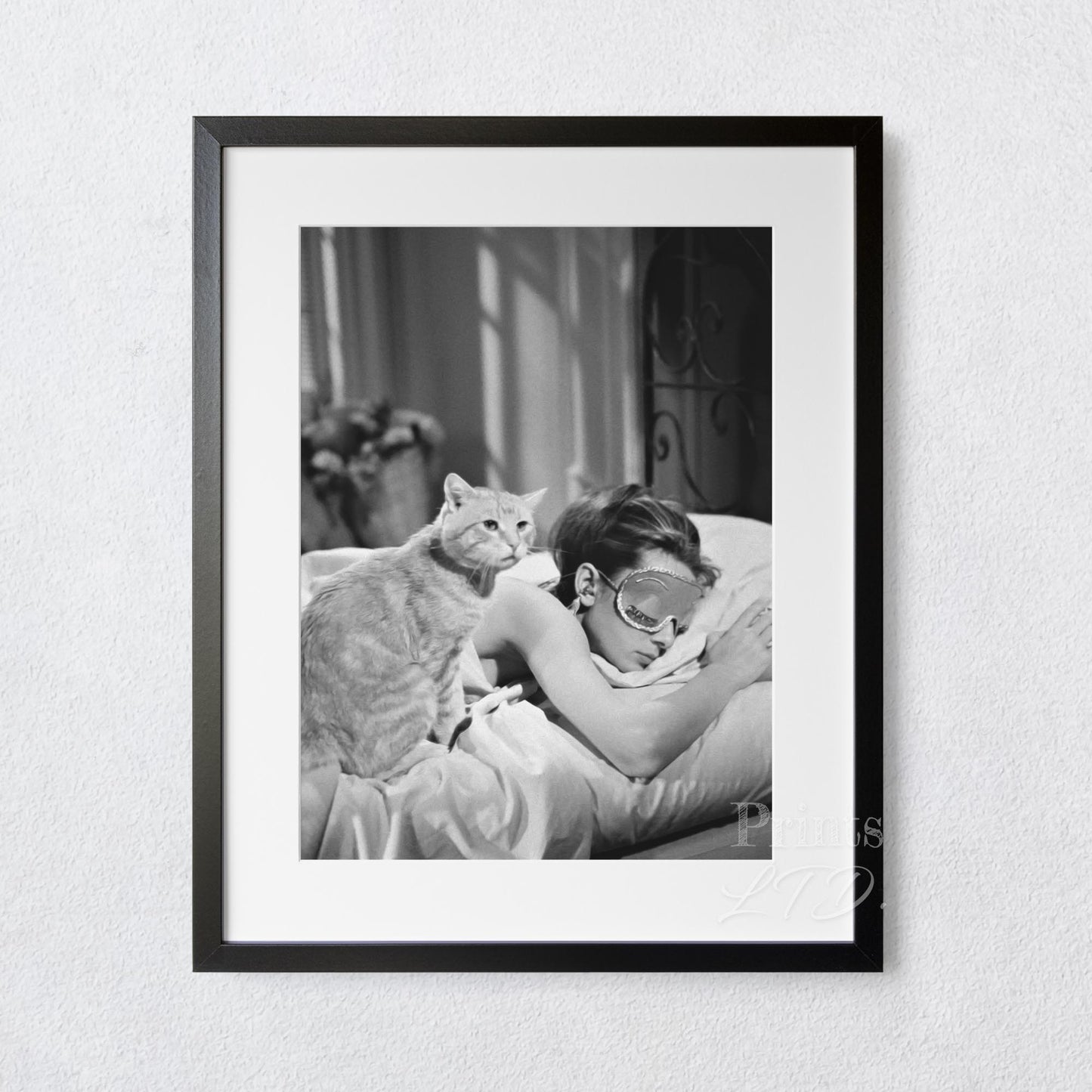 Audrey Hepburn Sleeping With Cat, Breakfast at Tiffany's