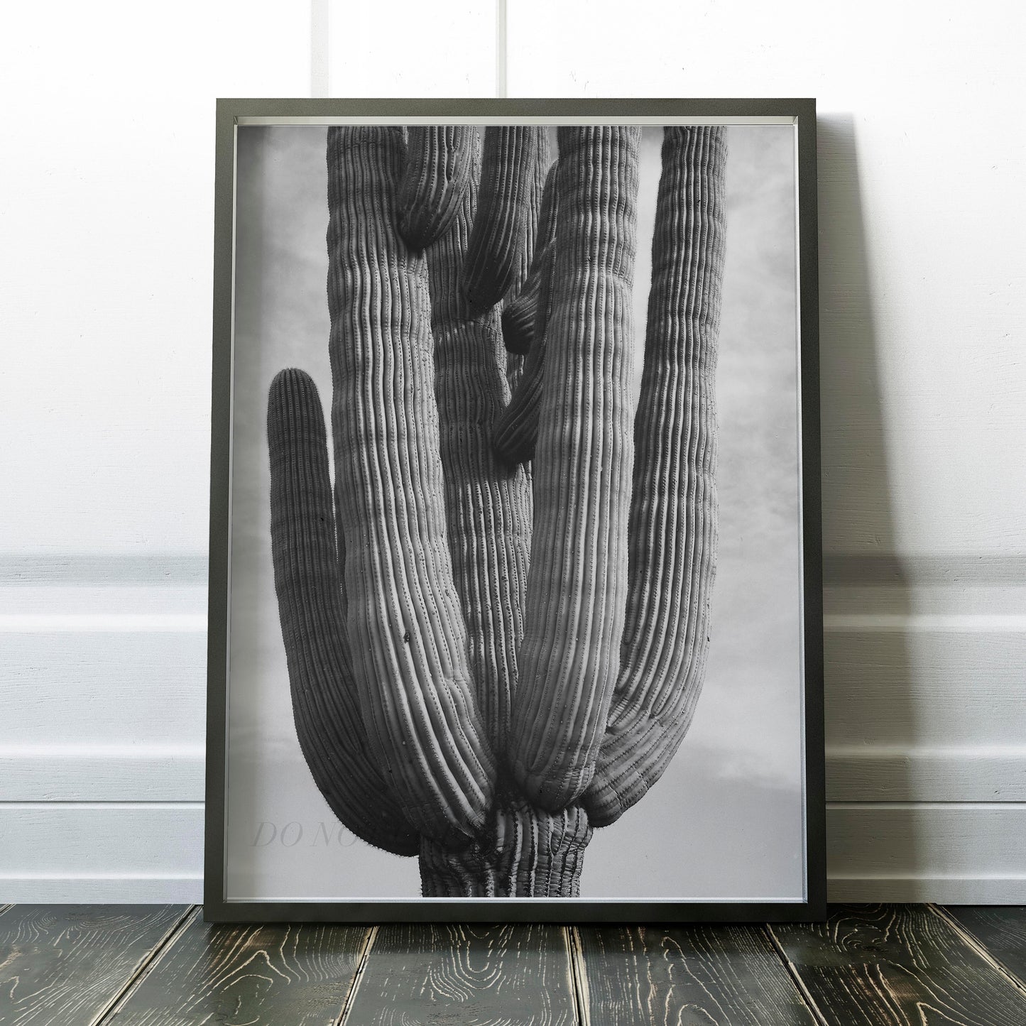 Black & White Cactus