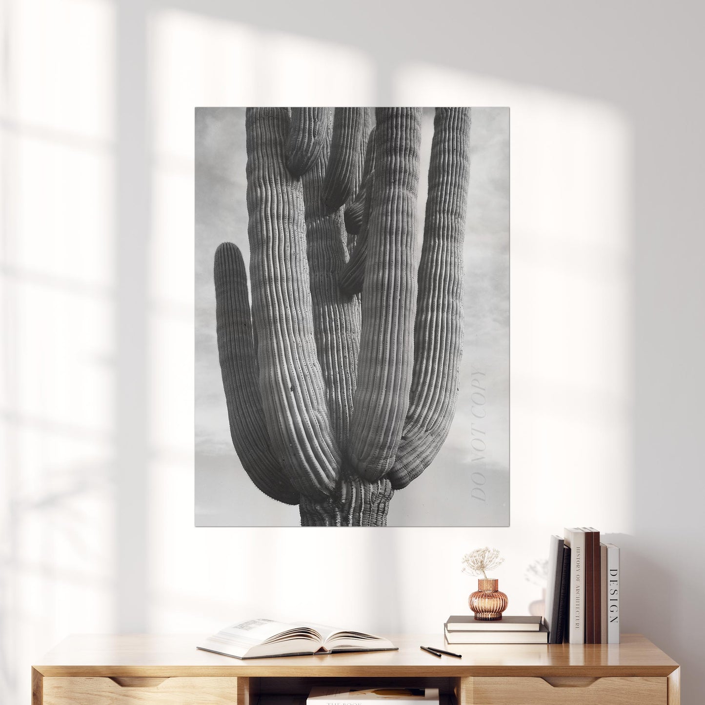 Black & White Cactus