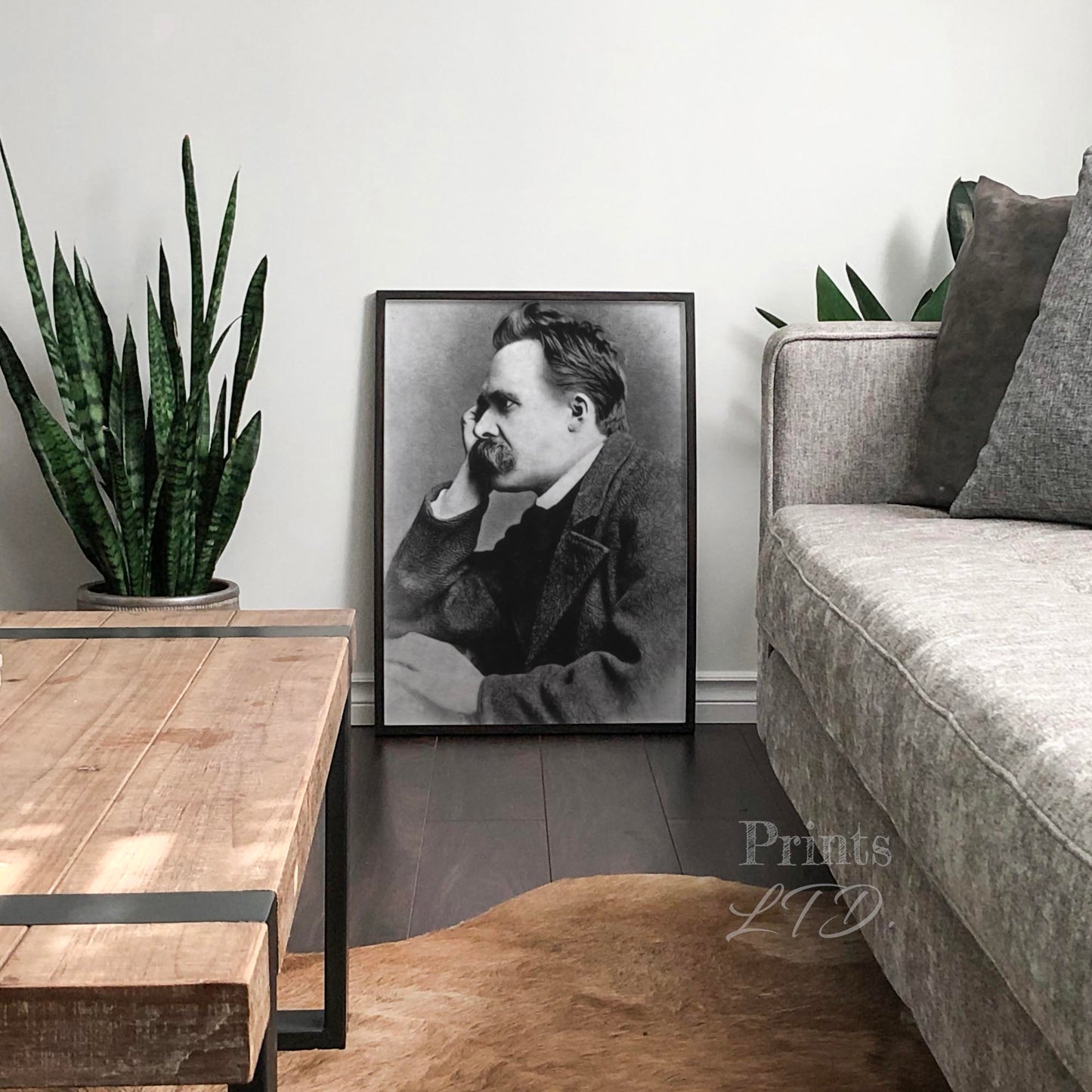 Friedrich Nietzsche 1800s