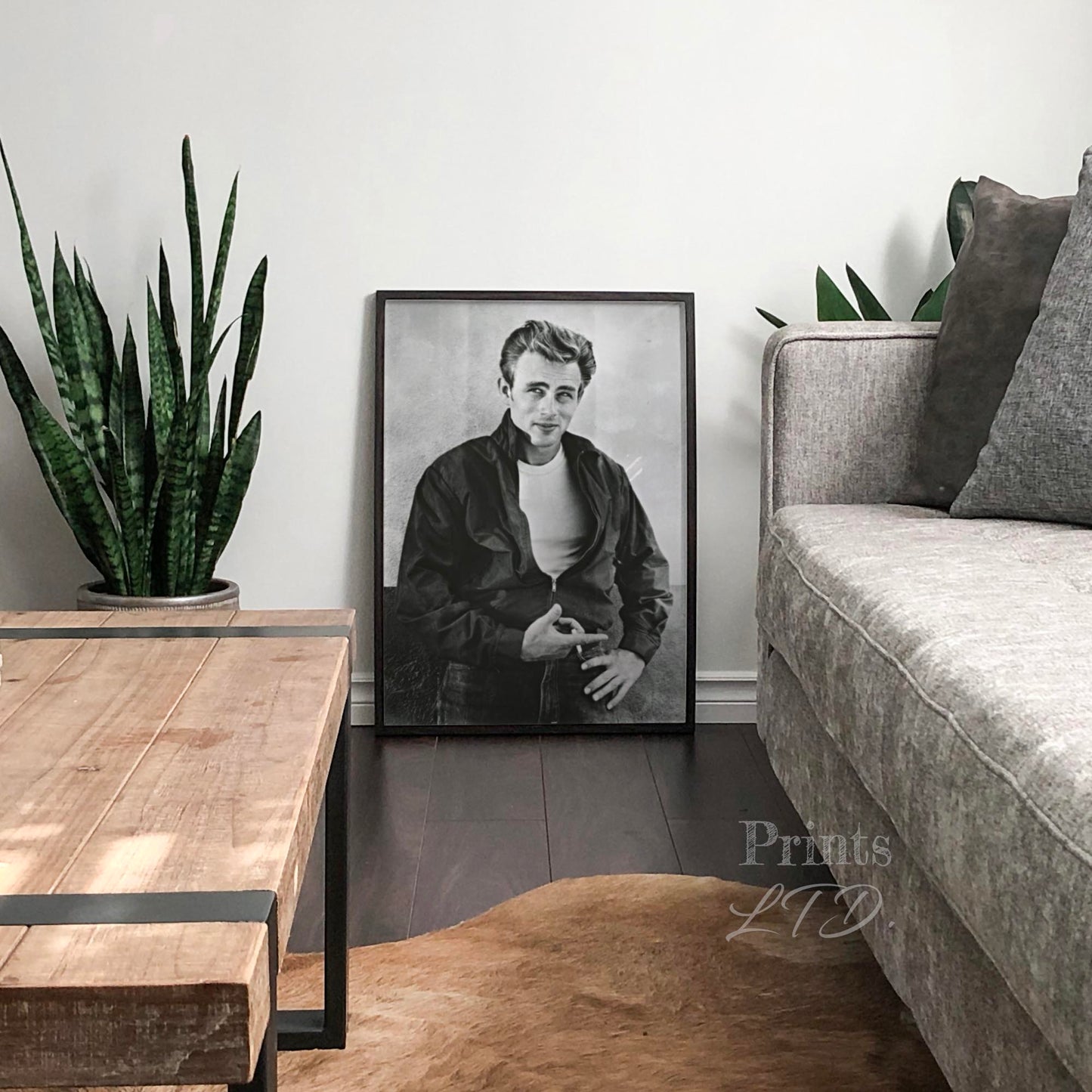 James Dean Rebel Without A Cause