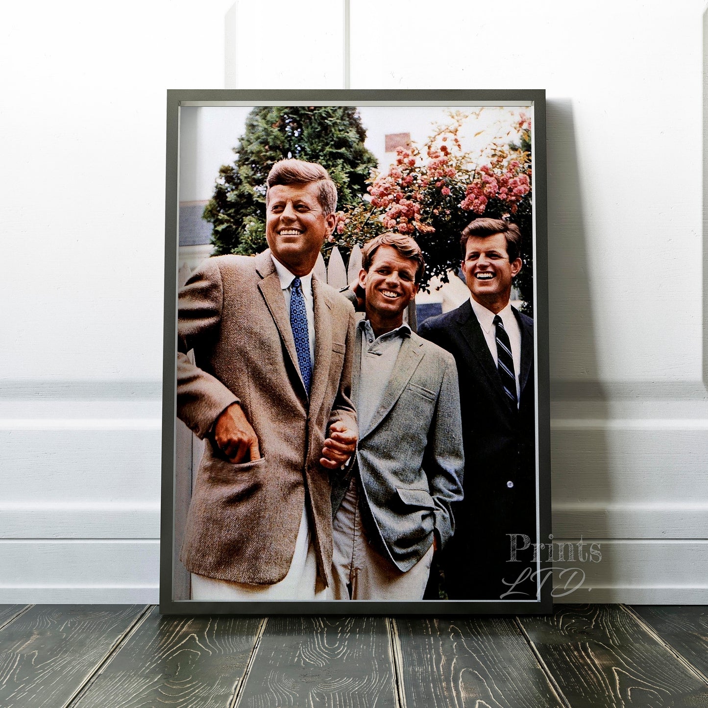 The Kennedy Brothers 1960