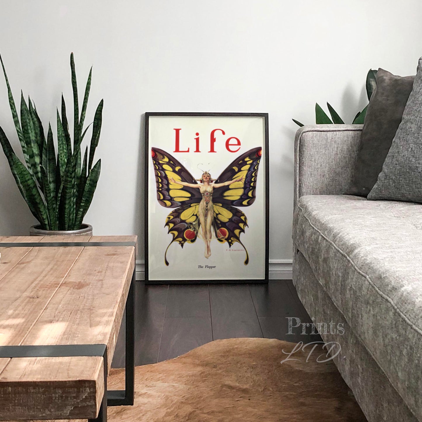Life Magazine The Flapper 1922 Butterfly