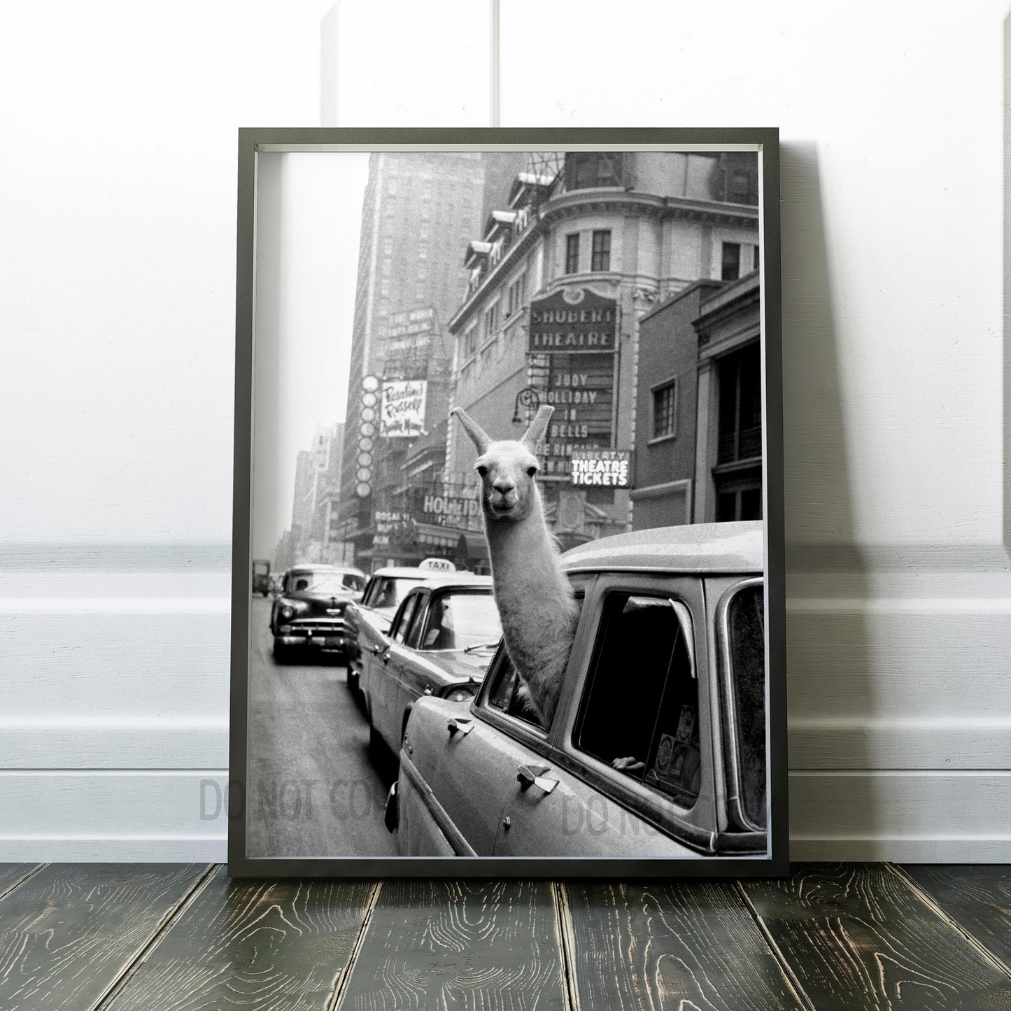 Llama in Taxi in Times Square New York City NYC 1950s