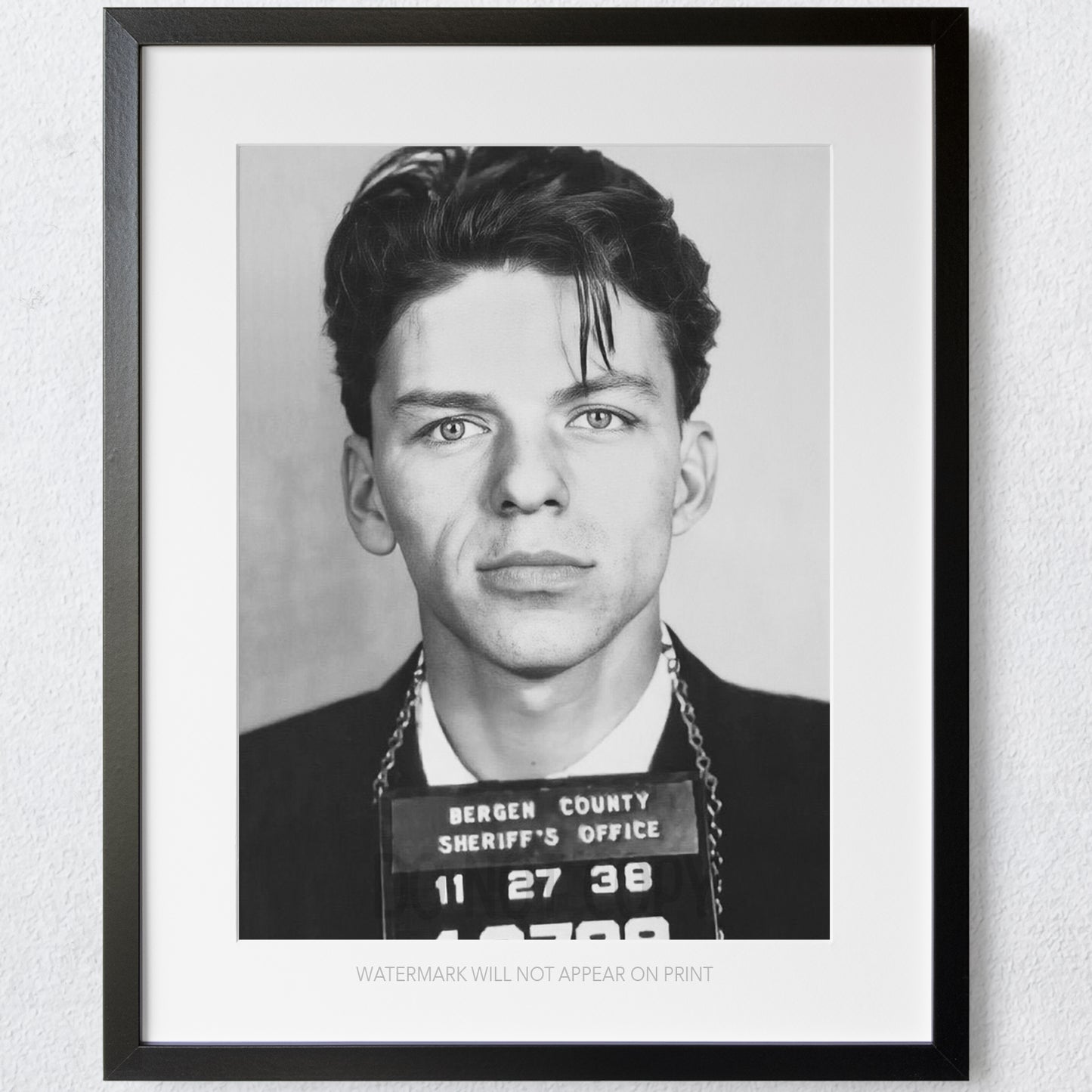 Frank Sinatra Famous Prison Mugshot