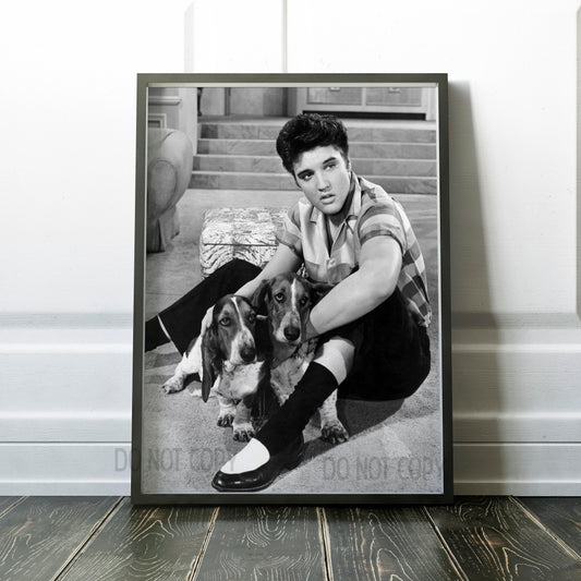 Elvis Presley with Basset Hounds in Jailhouse Rock