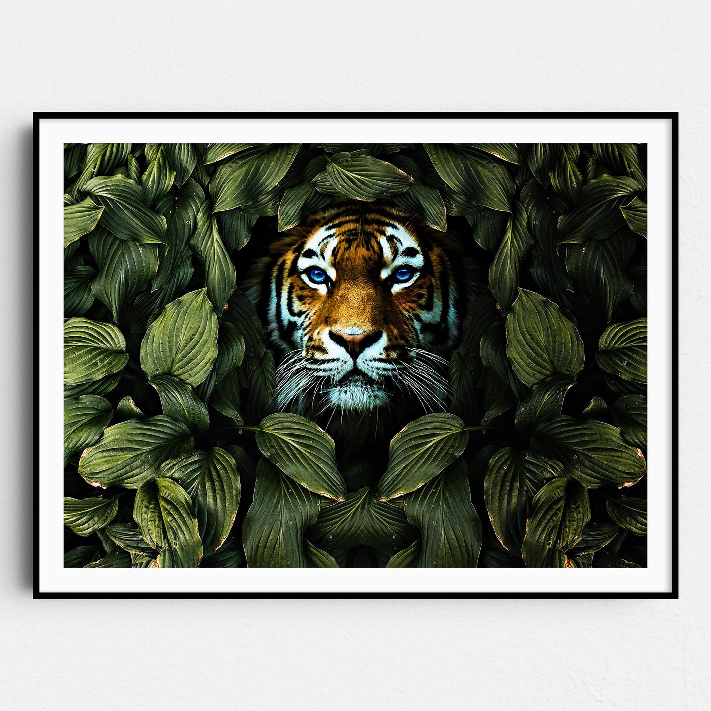 Tiger In The Bushes