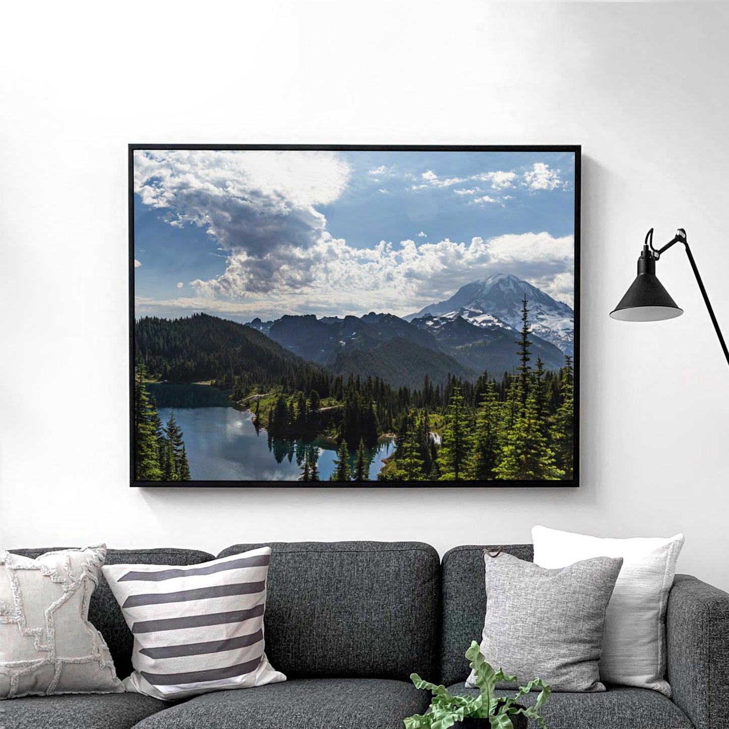 Mount Rainier Washington