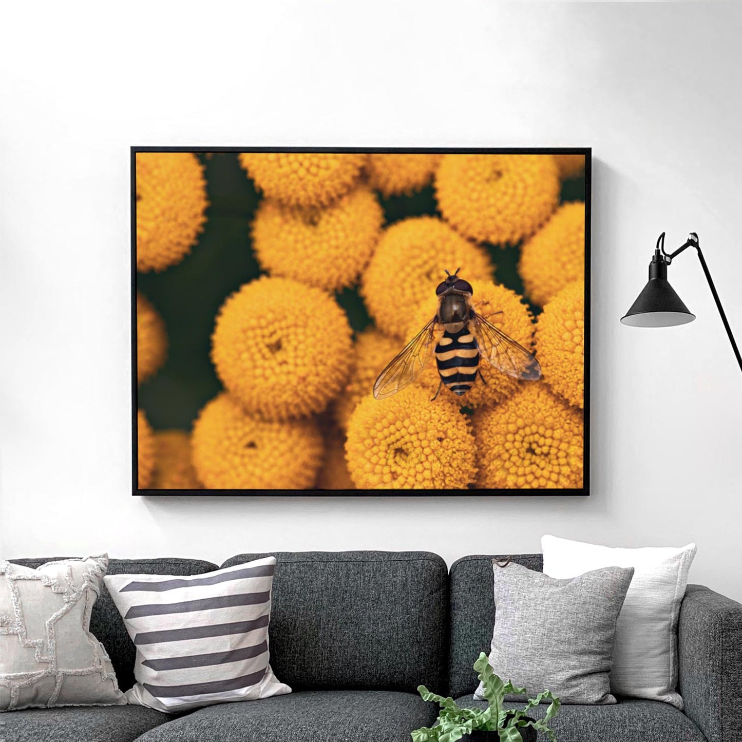 The Bee