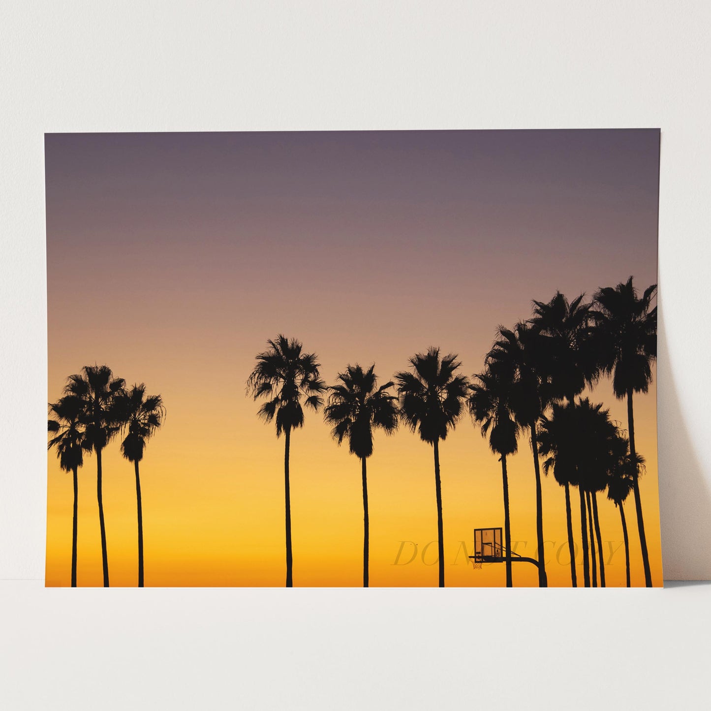 Palm Tree Sunset Basketball