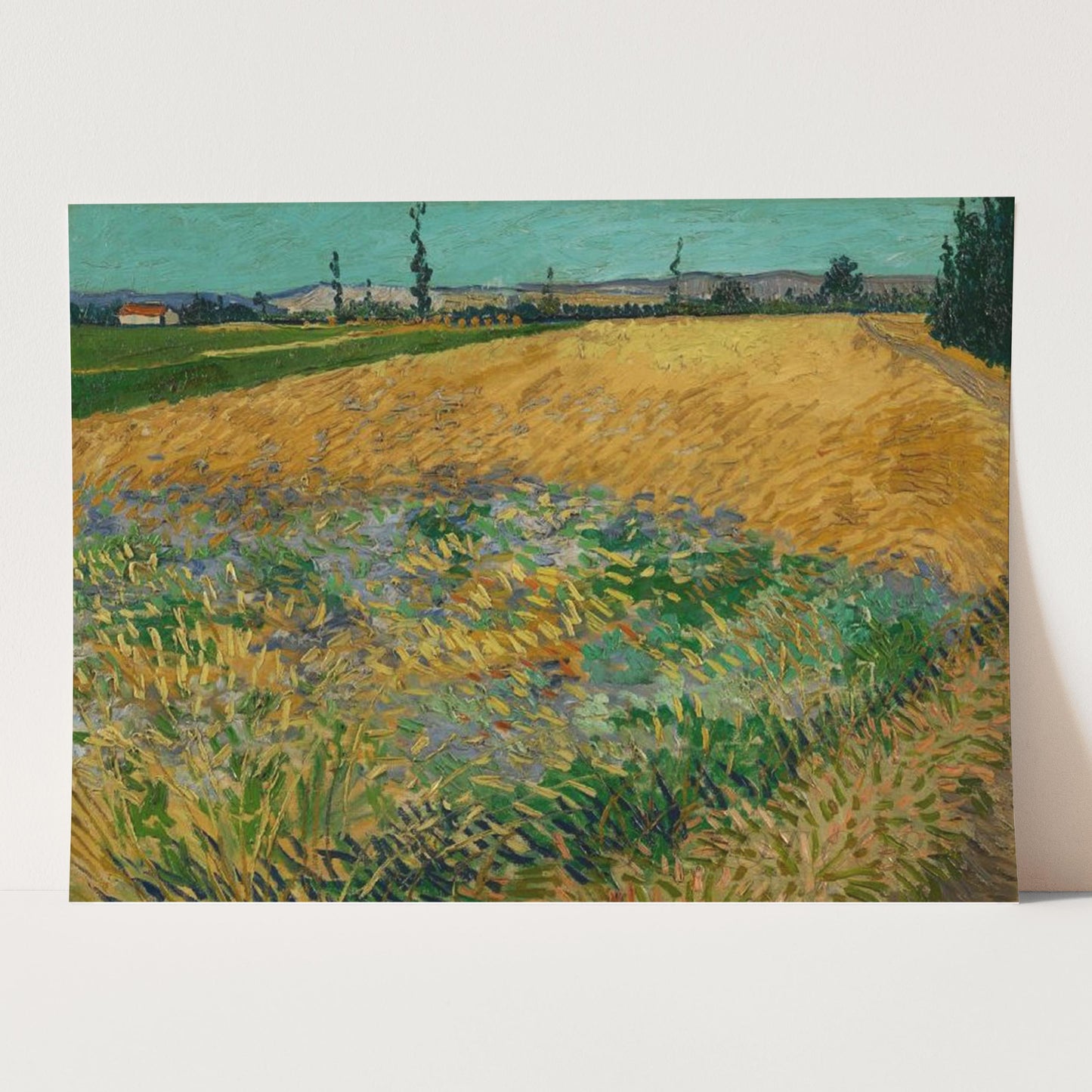 Wheatfield (1888) by Van Gogh