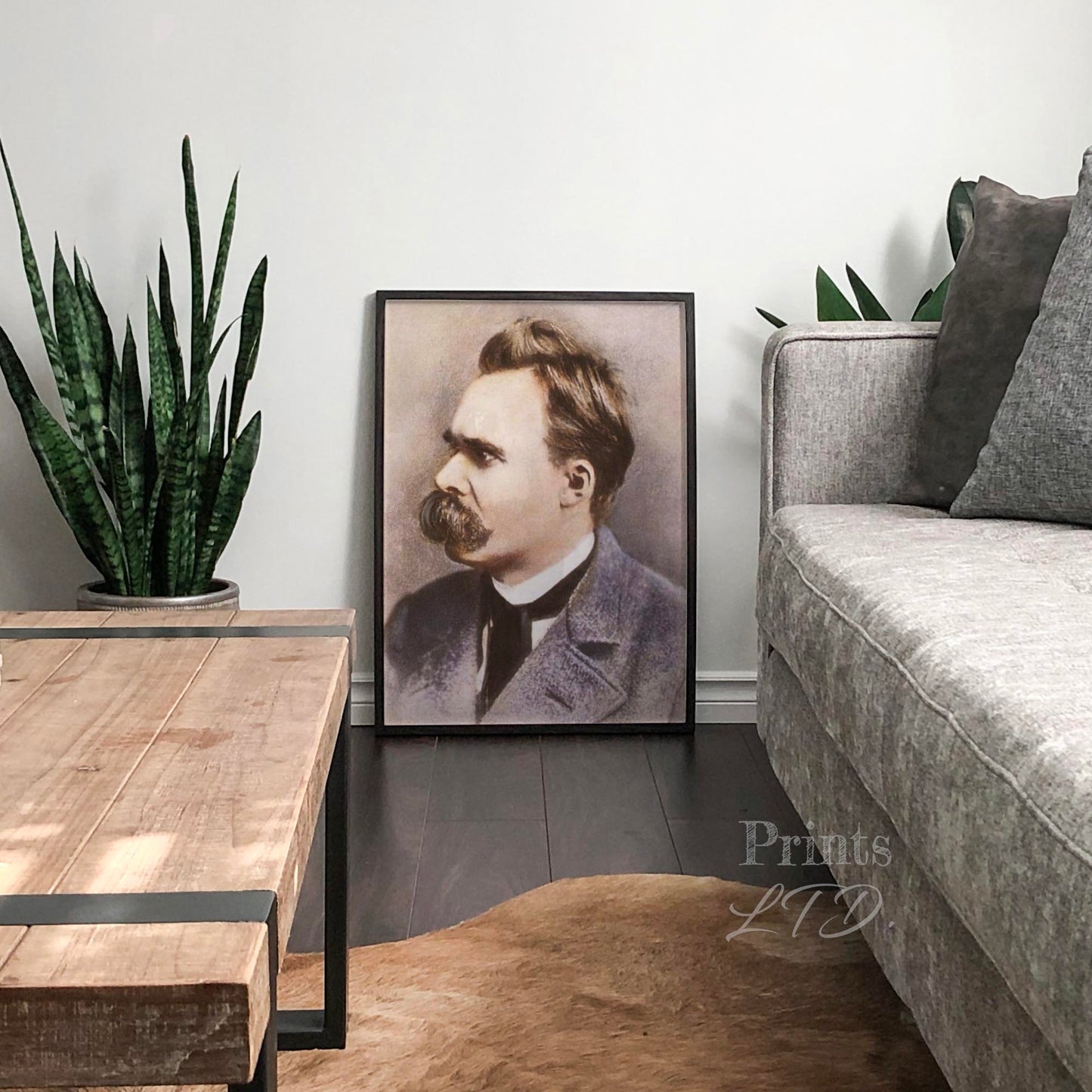 Friedrich Nietzsche Color
