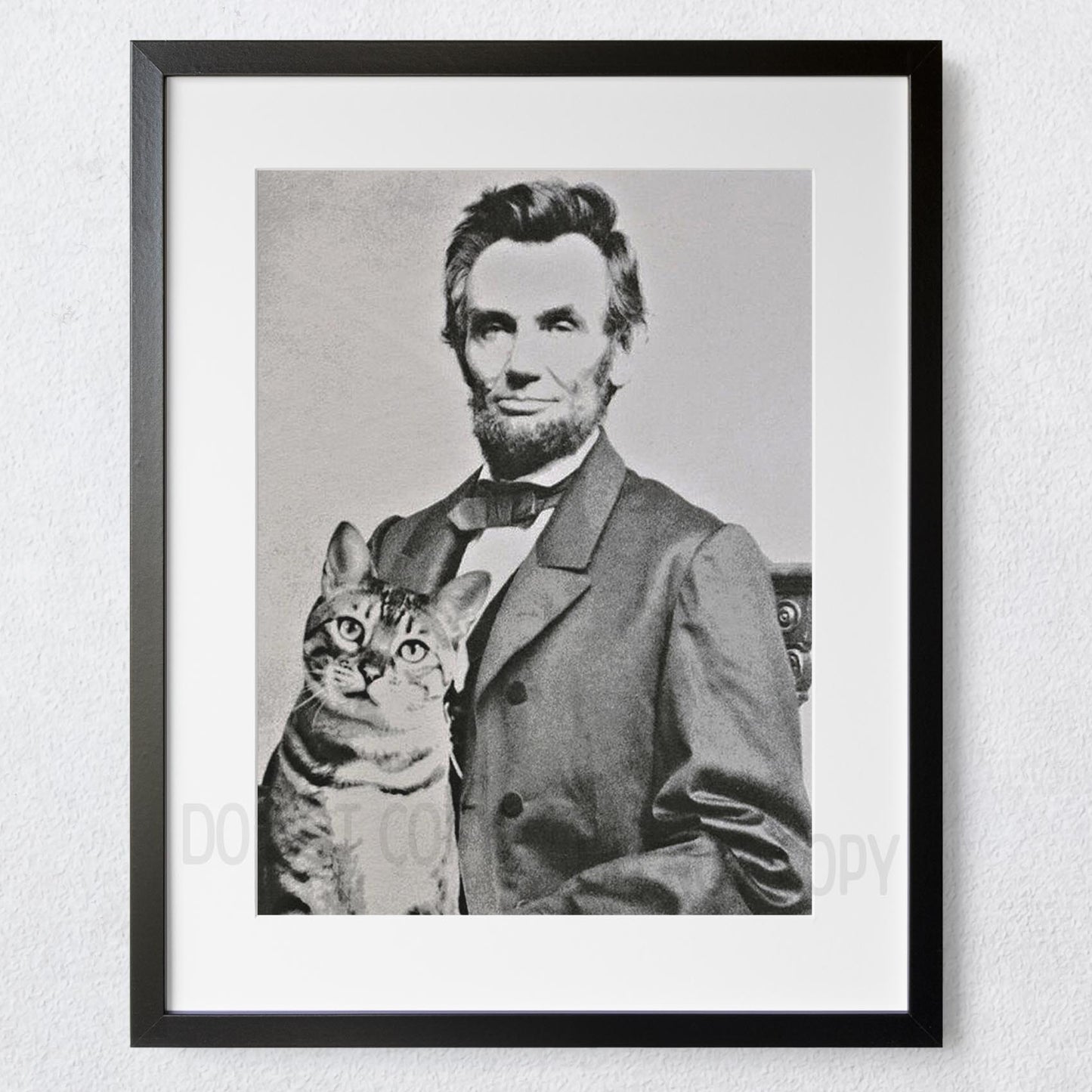 Abraham Lincoln with his cat