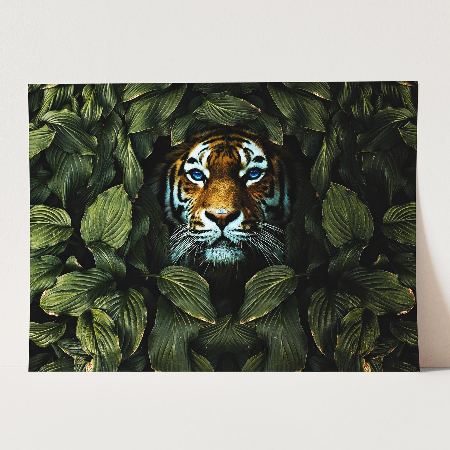 Tiger In The Bushes