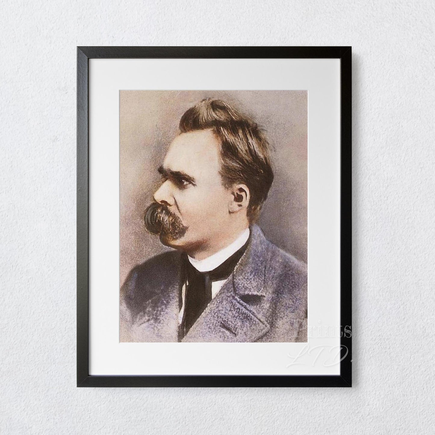 Friedrich Nietzsche Color