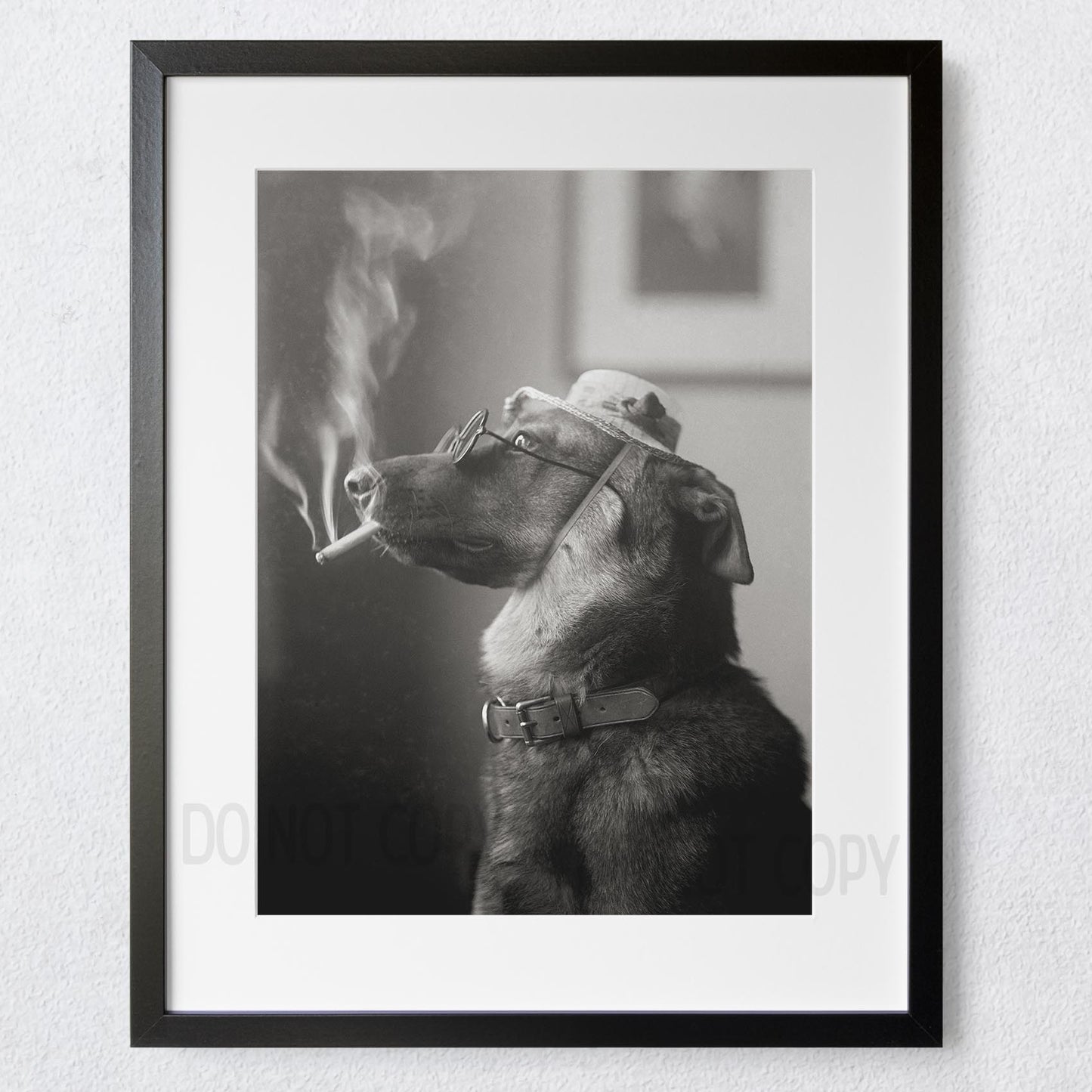 Dog With Hat Smoking Wearing Sunglasses
