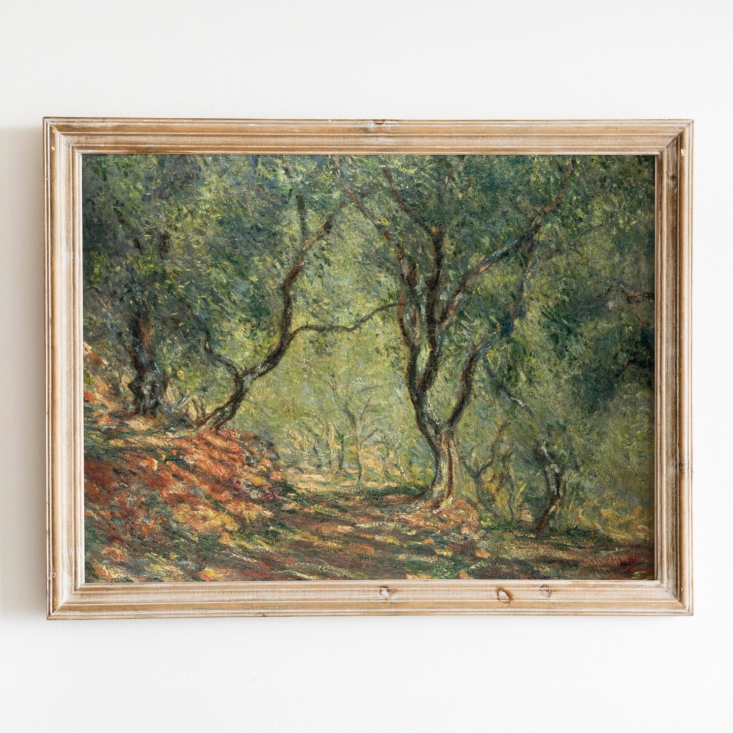 Olive Grove by Claude Monet