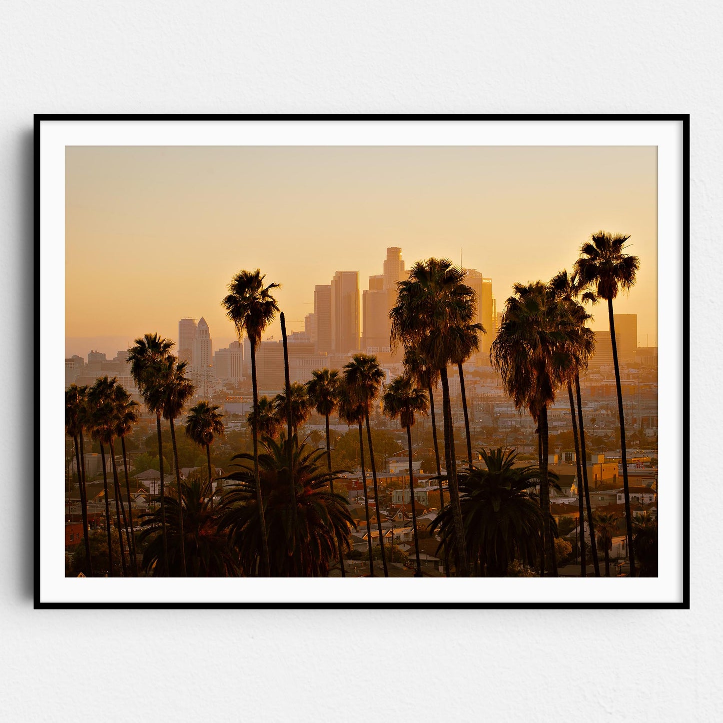 Los Angeles Palm Trees Downtown