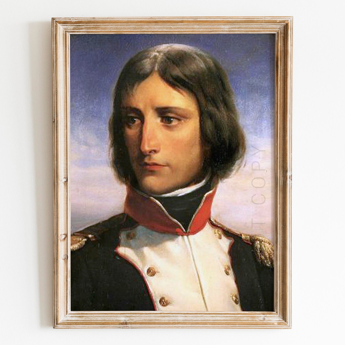 Young Napoleon Bonaparte