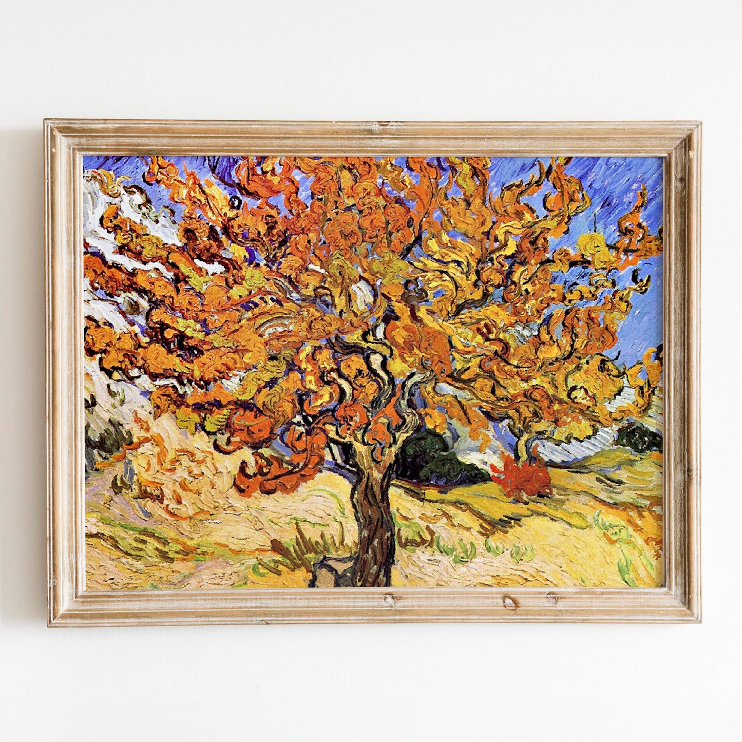 Mulberry Tree Van Gogh 1889
