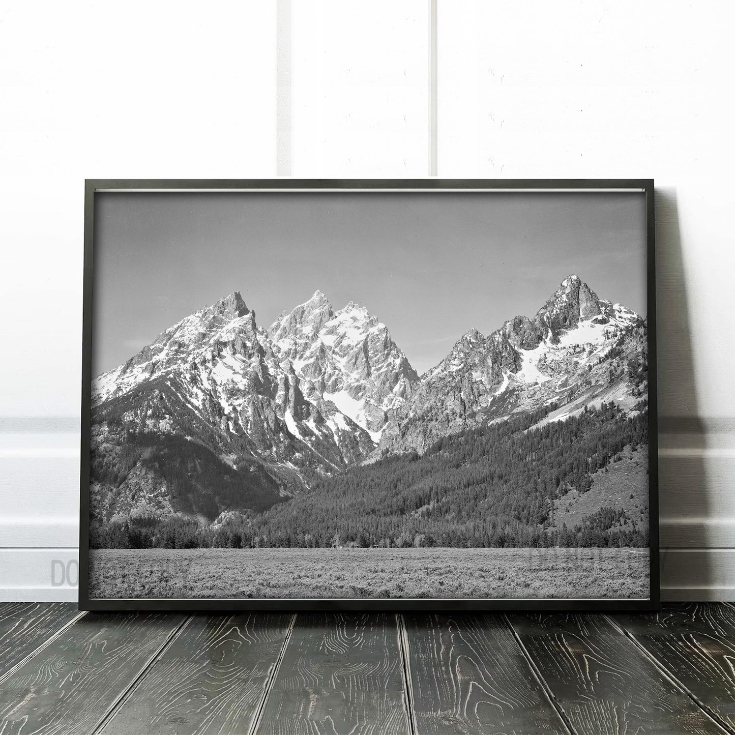 Ansel Adams Grand Teton National Park