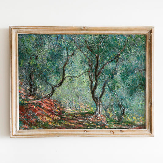 Olive Trees by Claude Monet