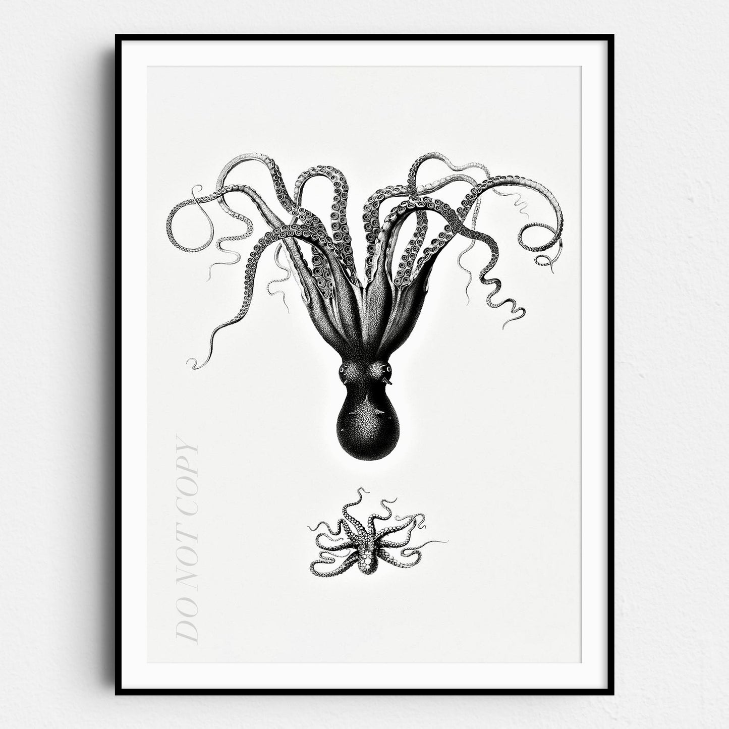 Vintage Octopus Illustration