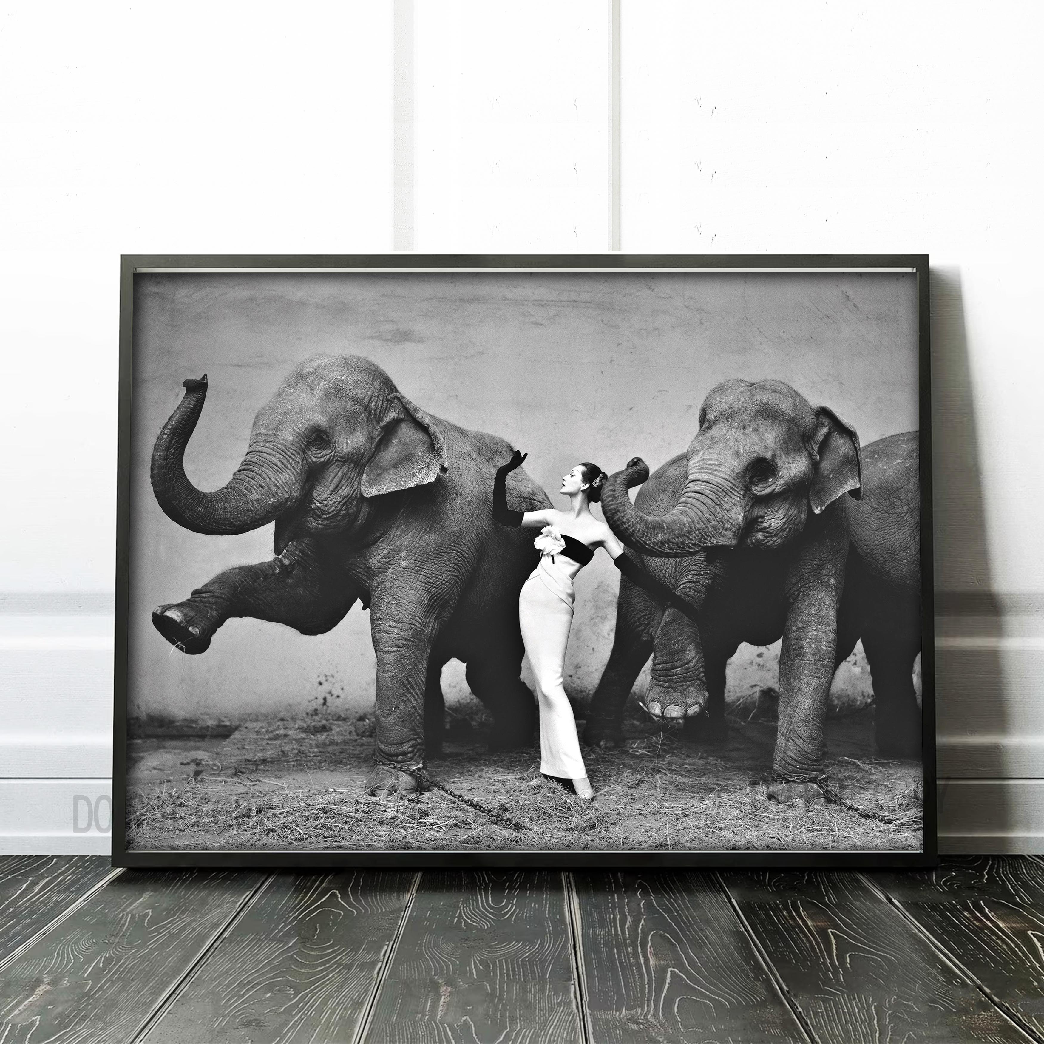 Dovima with the Elephants Art Prints Prints Limited