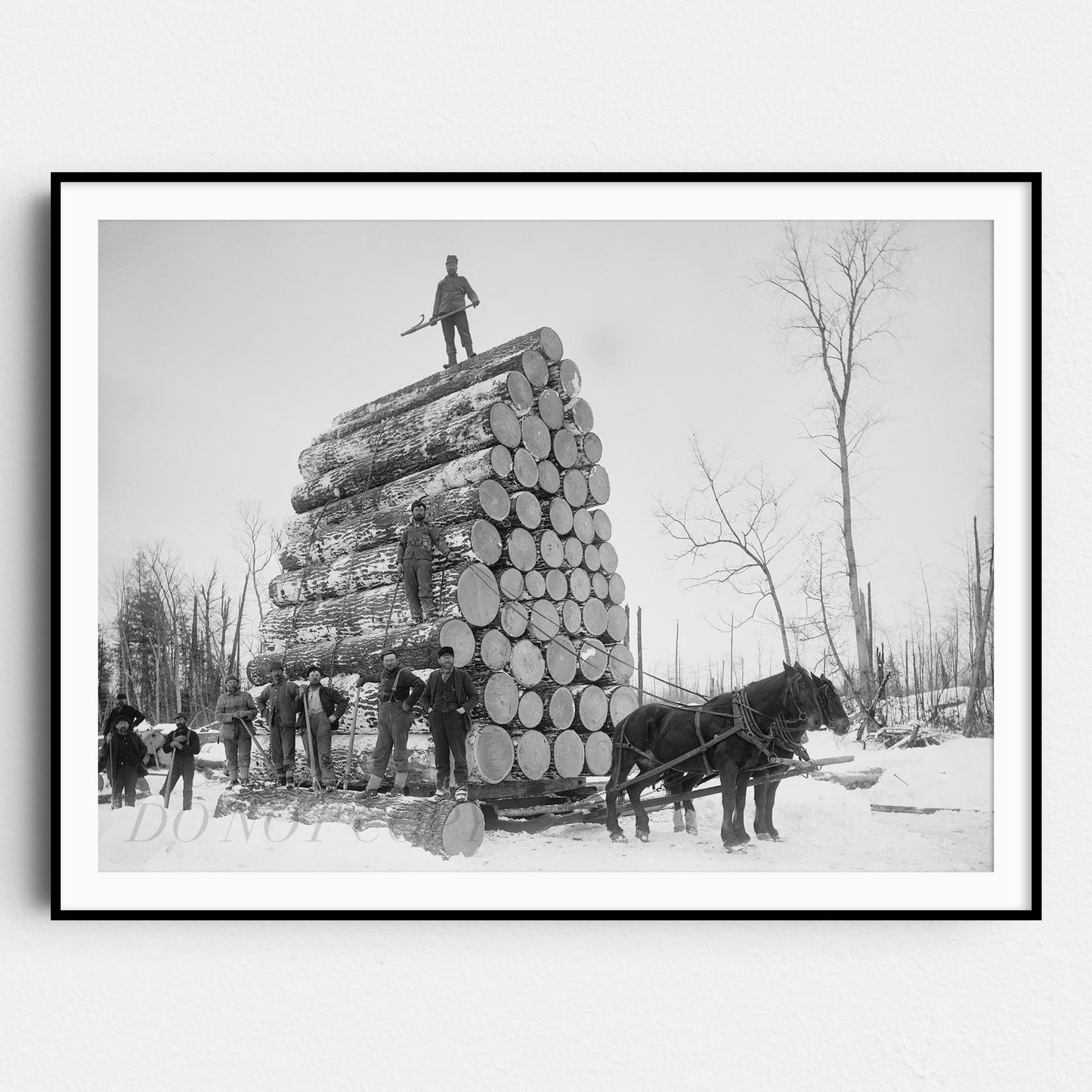 Lumberjacks At Work 1890