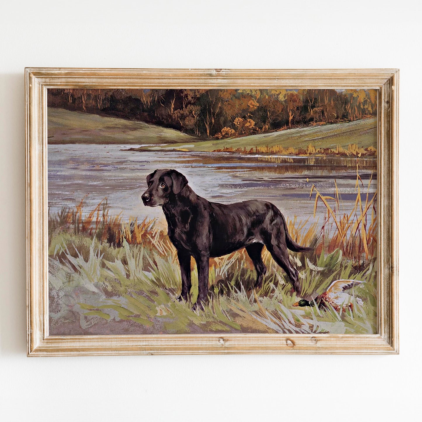 Labrador Retriever With Duck