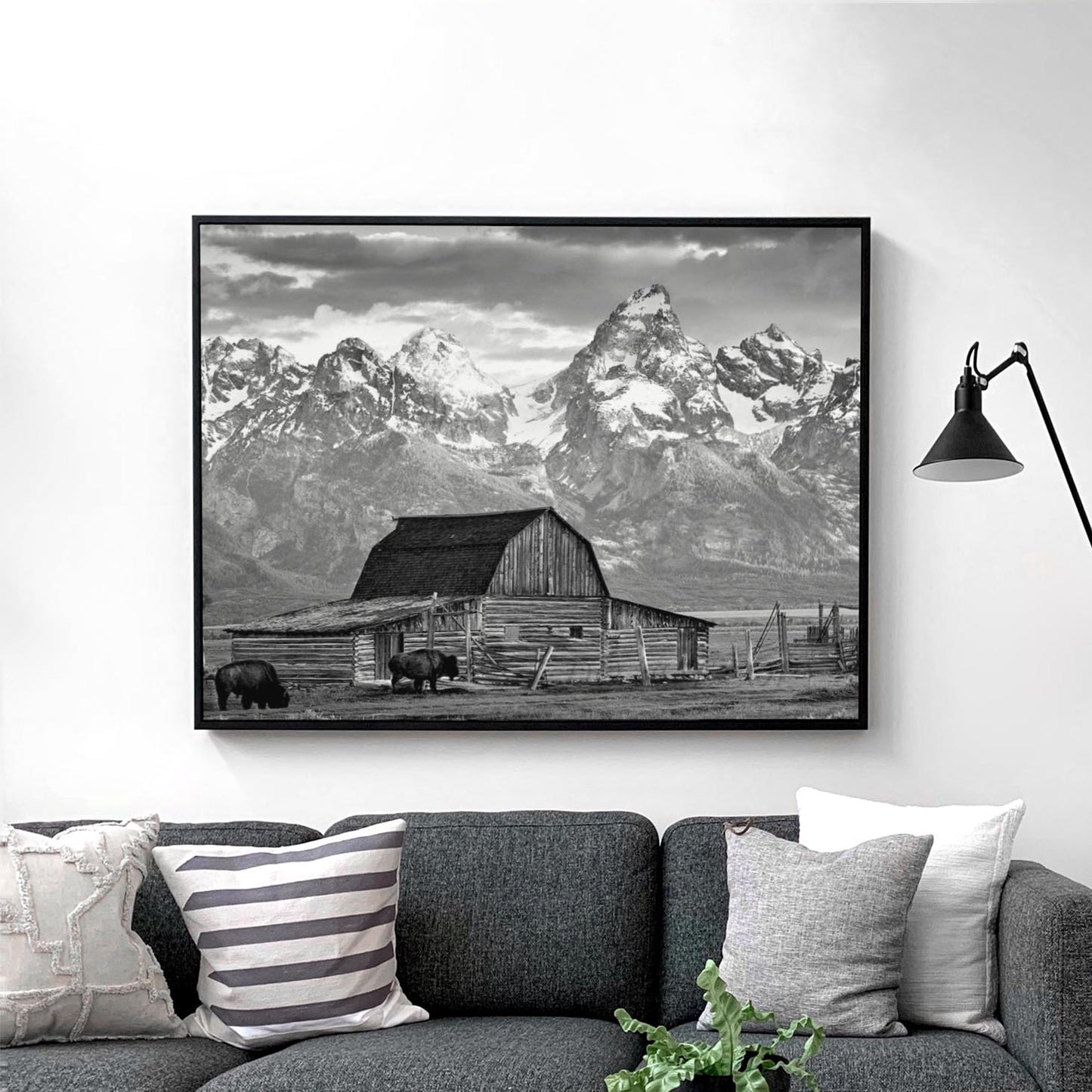 Old Barn In Grand Teton National Park