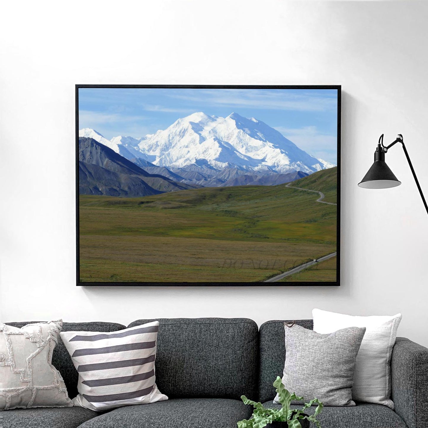 Mount Denali Alaska