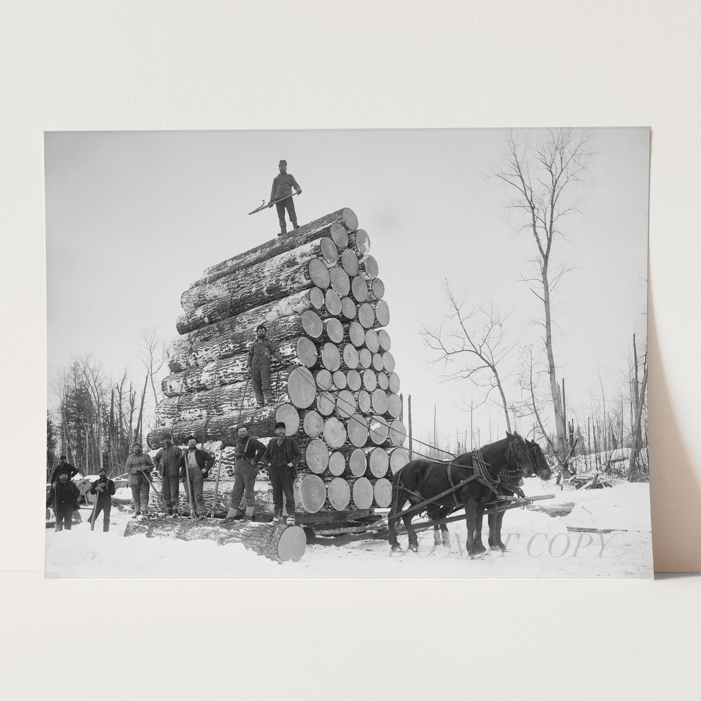 Lumberjacks At Work 1890