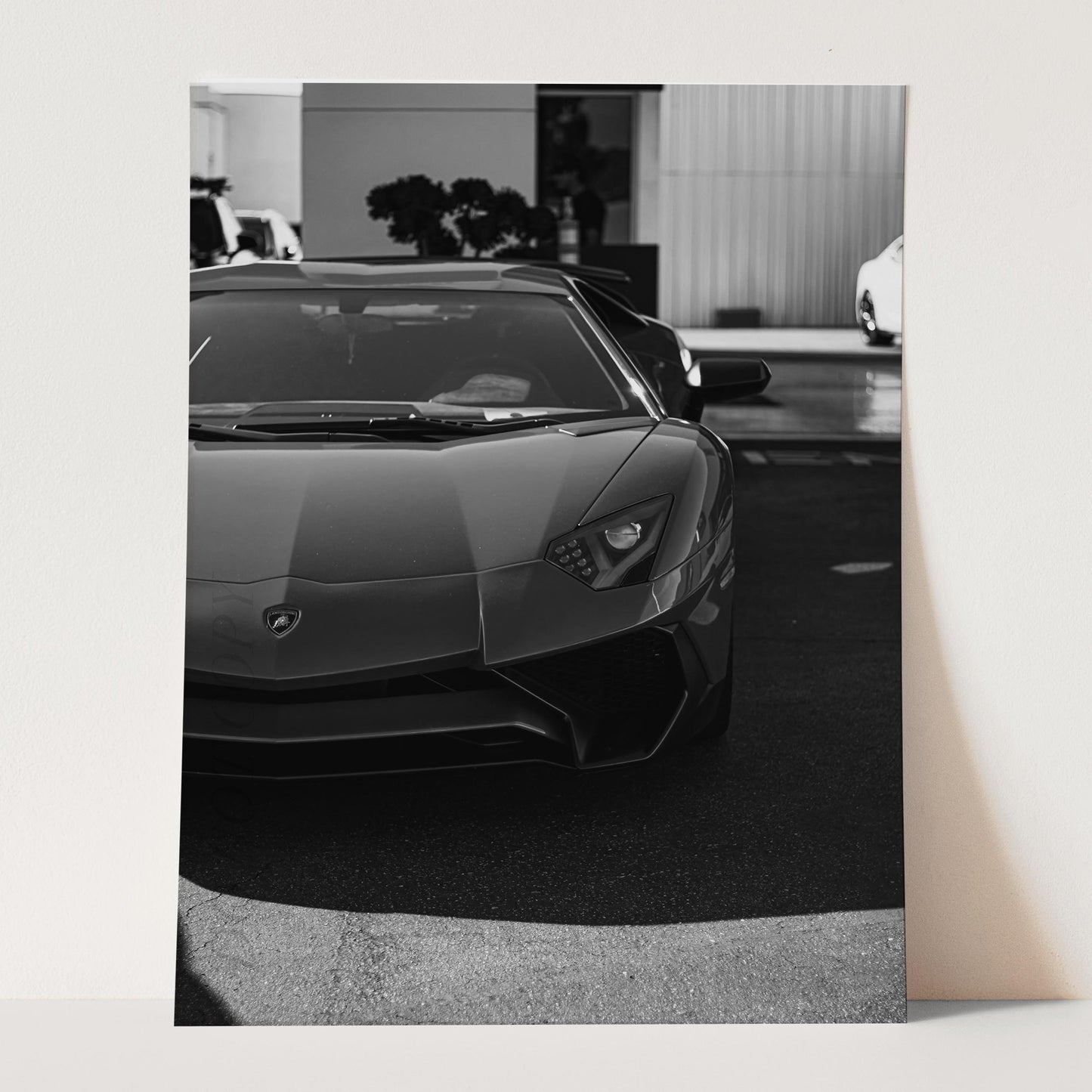 Lamborghini Front View