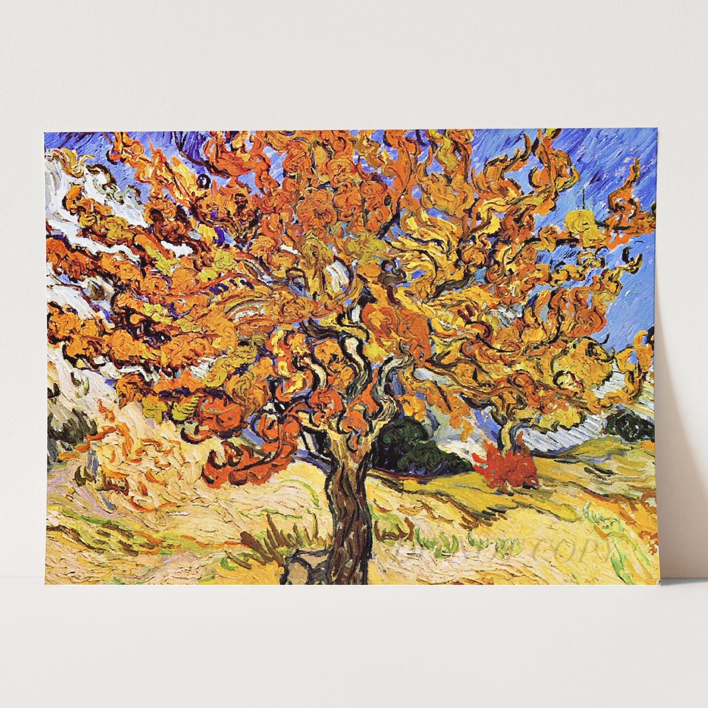 Mulberry Tree Van Gogh 1889