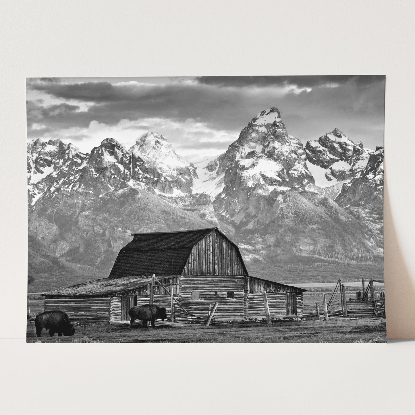 Old Barn In Grand Teton National Park
