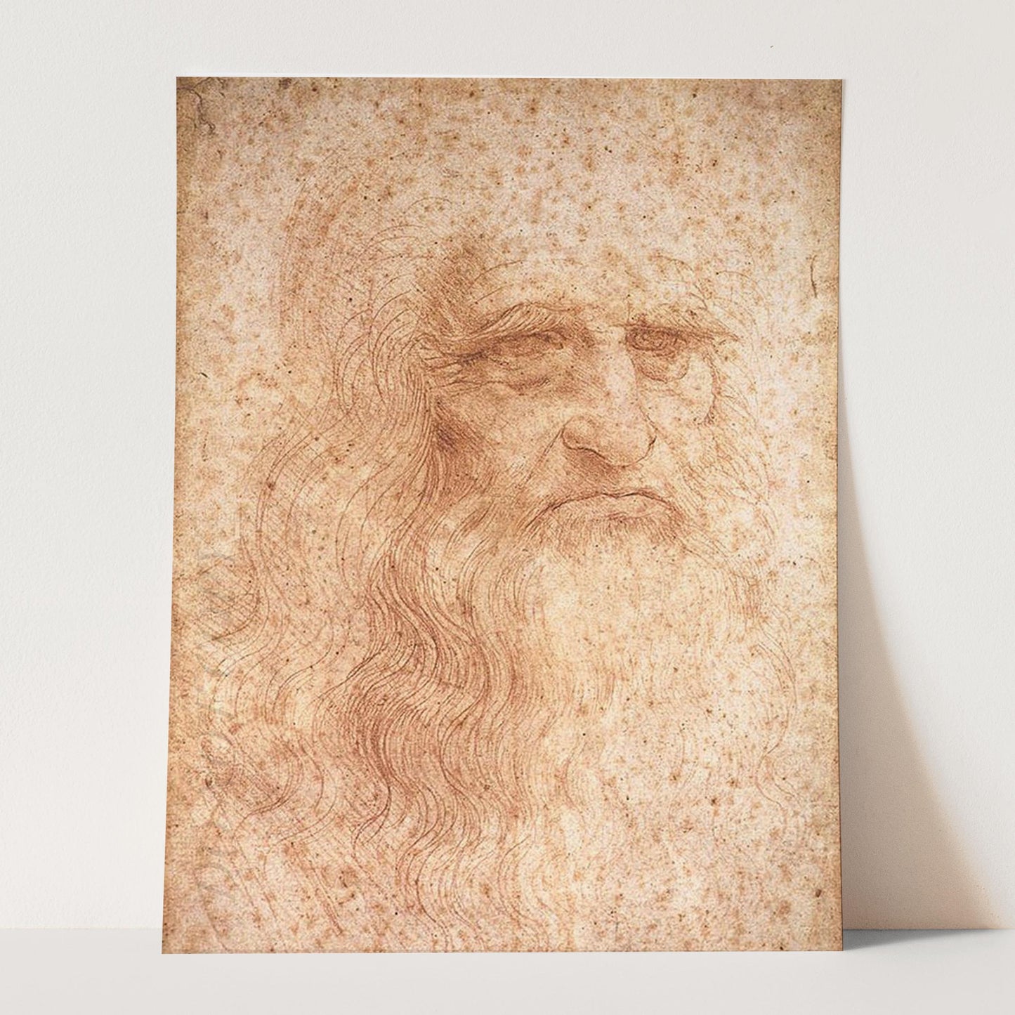 Leonardo Da Vinci Portrait