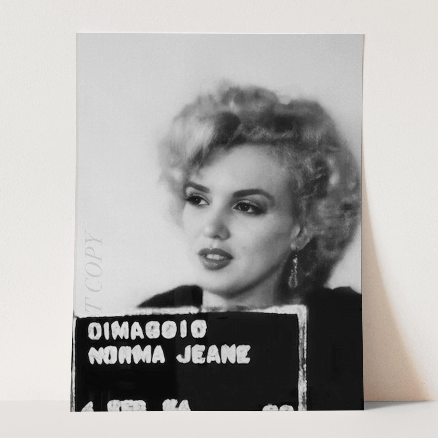 Marilyn Monroe Prison Mug Shot