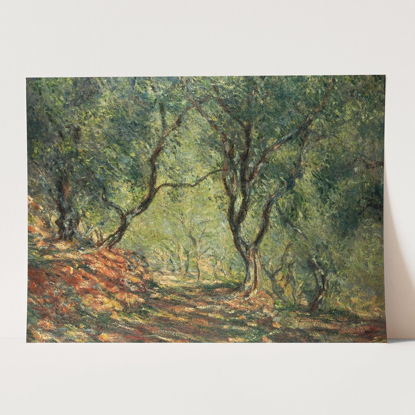 Olive Grove by Claude Monet